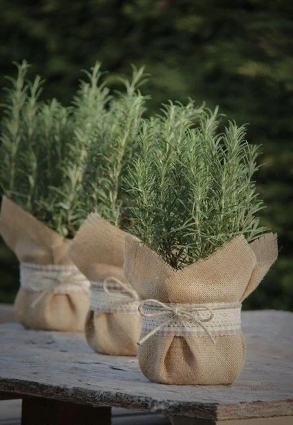 هدايا فورية