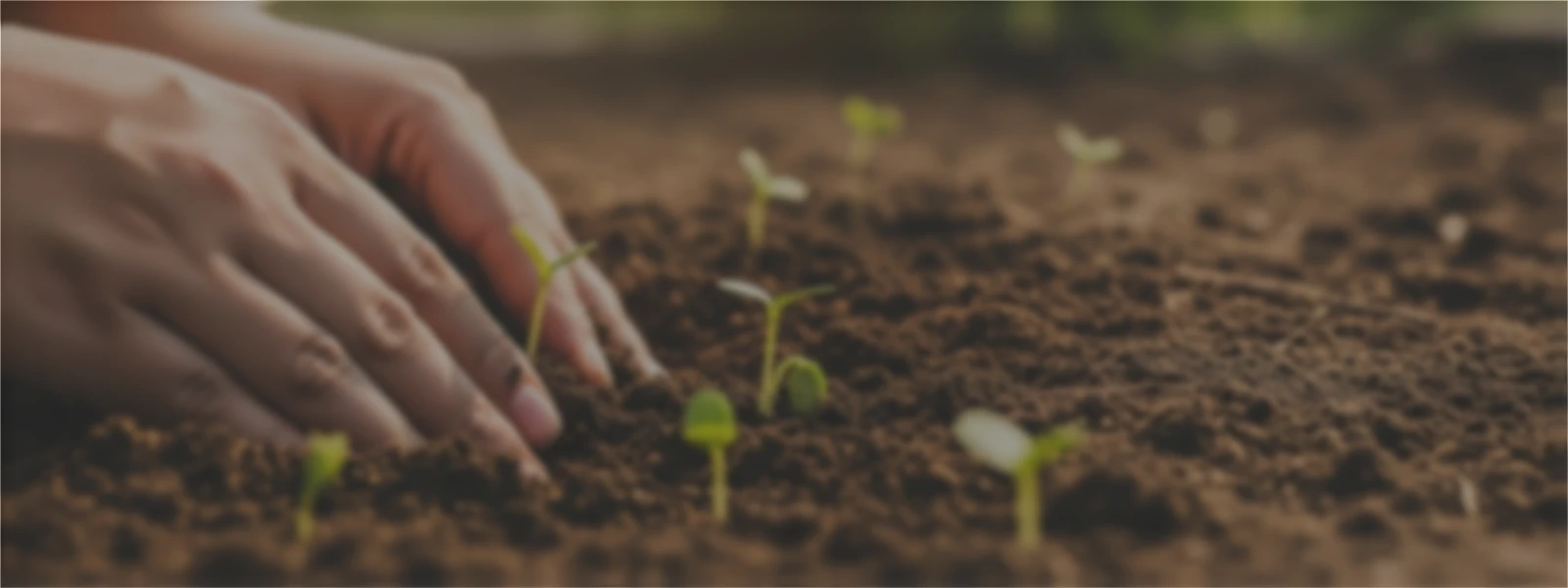 ابدأ زراعتك من الأساس