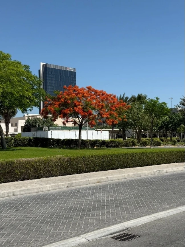 الطرق العامة