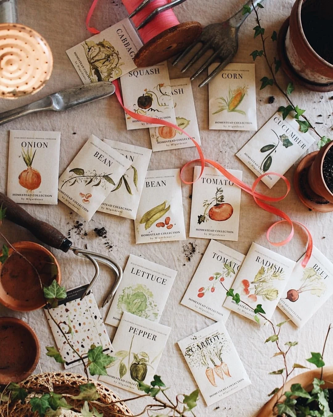 مجموعة بذور مكونة من ٢٥ نوع مختلف