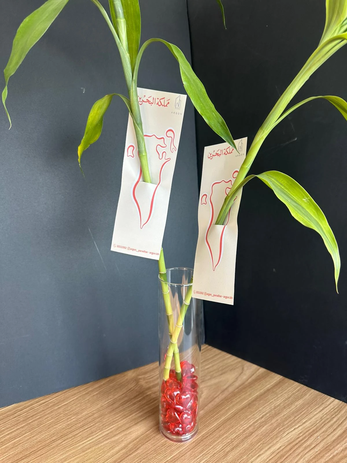 ساق البامبو